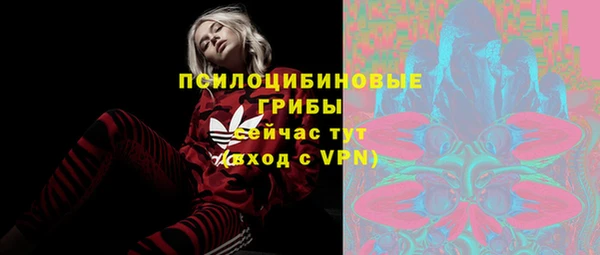 метадон Армянск