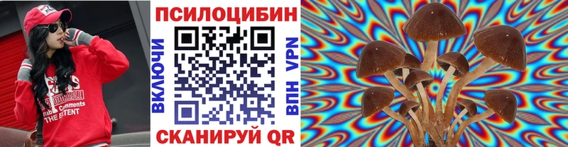 как найти закладки  Оха  МЕГА вход  Псилоцибиновые грибы Psilocybe 